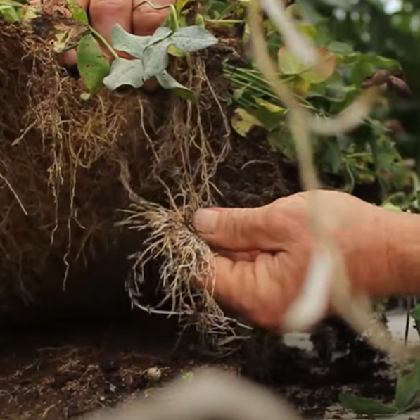 Resources for Growers — Vermont Compost Company